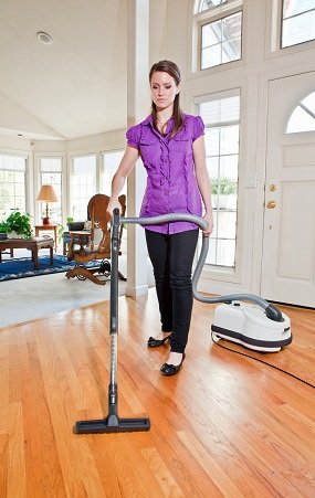 Sebo Canister Vacuum